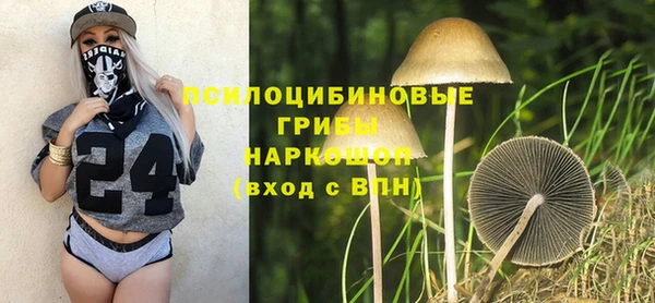 шишки Волосово